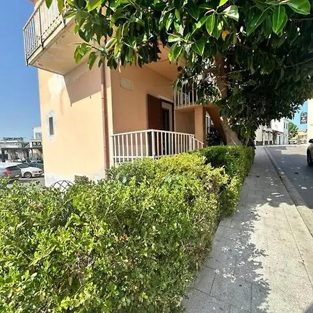 Ficus San Teodoro (Sardinia)